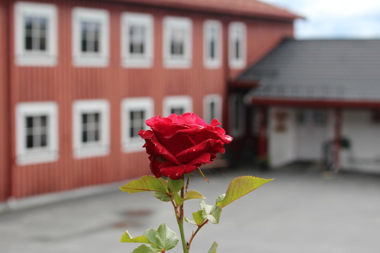Fredheim Livsstilssenter Hotel Saggrenda Luaran gambar